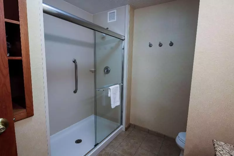 اتاق استاندارد با تخت بزرگ, Hampton Inn Waterloo