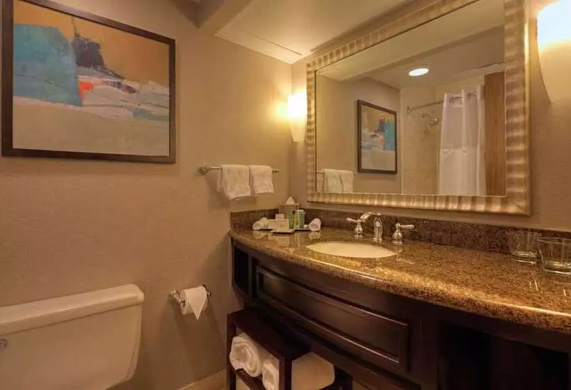 Standard-huone King-vuode, Hilton Columbus/polaris