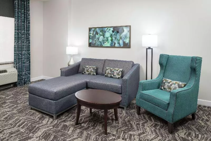 سوئیت با تخت بزرگ, Hilton Garden Inn Dfw North Grapevine