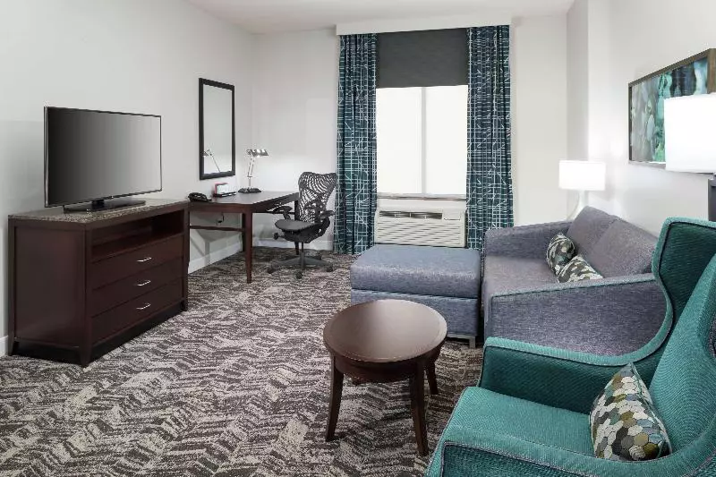 سوئیت با تخت بزرگ, Hilton Garden Inn Dfw North Grapevine
