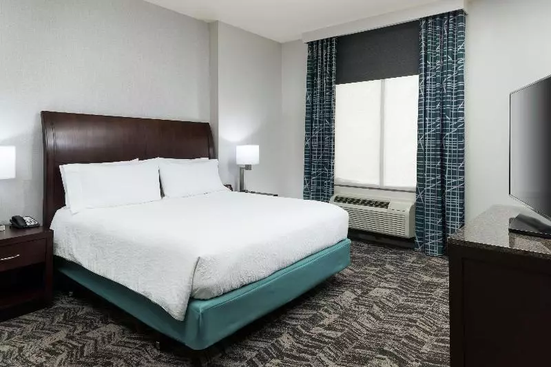 سوئیت با تخت بزرگ, Hilton Garden Inn Dfw North Grapevine