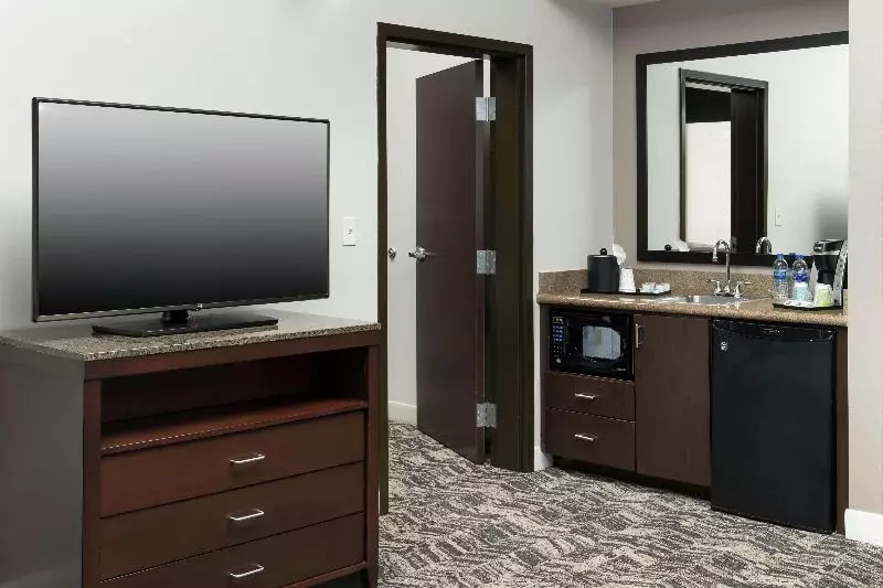سوئیت با تخت بزرگ, Hilton Garden Inn Dfw North Grapevine