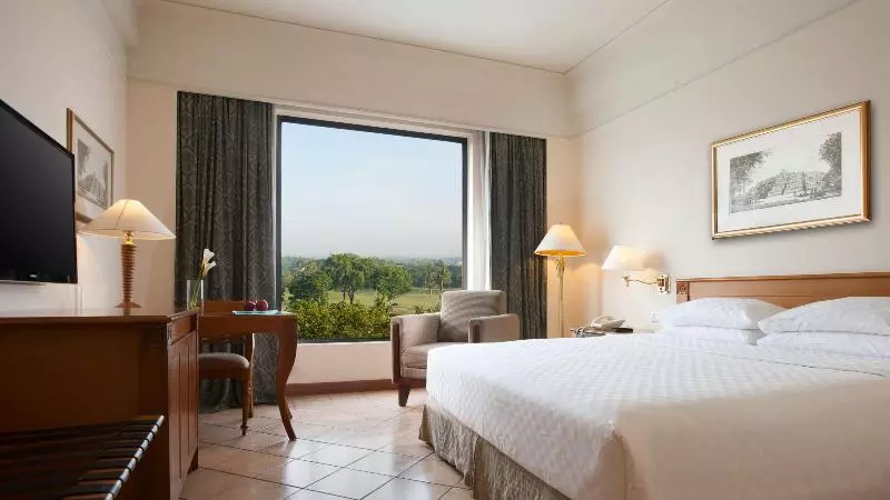 اتاق استاندارد با تخت بزرگ برای معلولان, Hilton Garden Inn Dfw North Grapevine