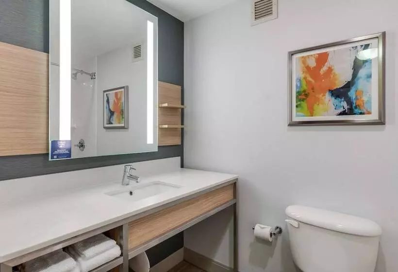 ２ダブルベッドのスタンダードルーム, Hilton Garden Inn Suffolk Riverfront
