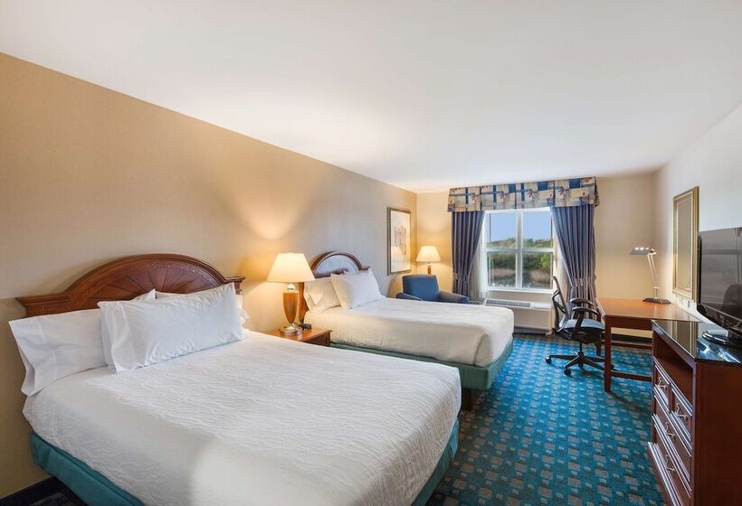 Номер Стандарт 2 Двуспальные Кровати, Hilton Garden Inn Suffolk Riverfront