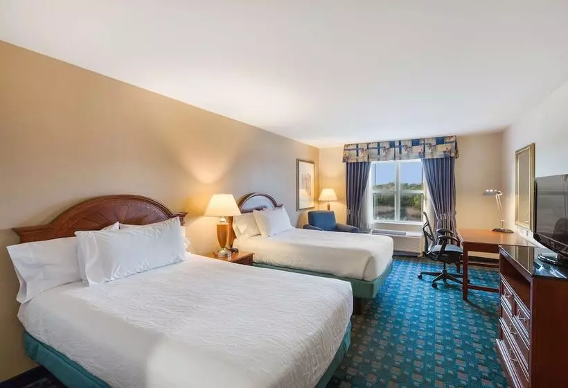 ２ダブルベッドのスタンダードルーム, Hilton Garden Inn Suffolk Riverfront