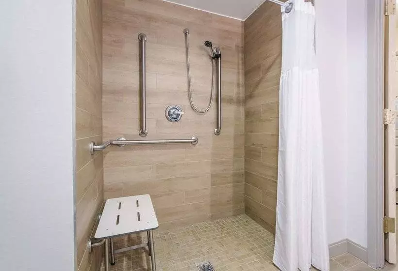 身障者適用スタンダードルーム, Hilton Garden Inn Suffolk Riverfront