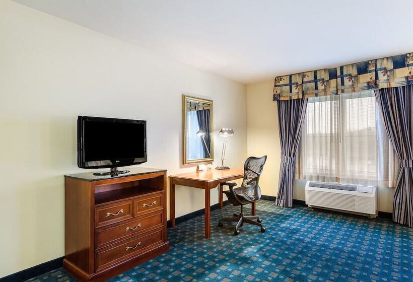 장애인을 위한 스탠다드 룸, Hilton Garden Inn Suffolk Riverfront
