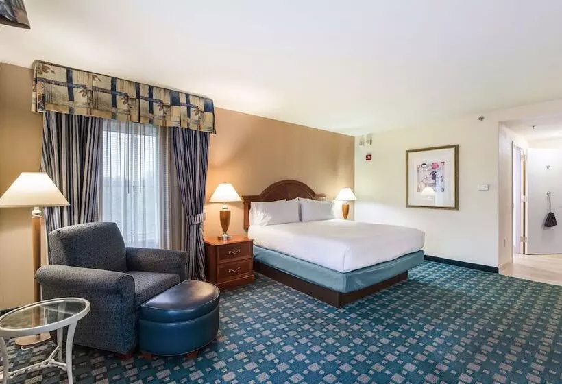 身障者適用スタンダードルーム, Hilton Garden Inn Suffolk Riverfront