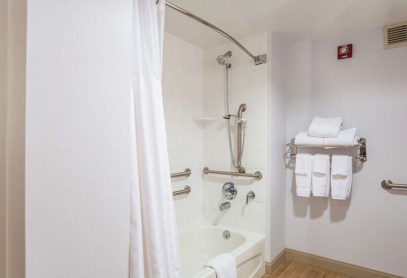 Номер Стандарт Адаптированный для Инвалидов, Hilton Garden Inn Suffolk Riverfront
