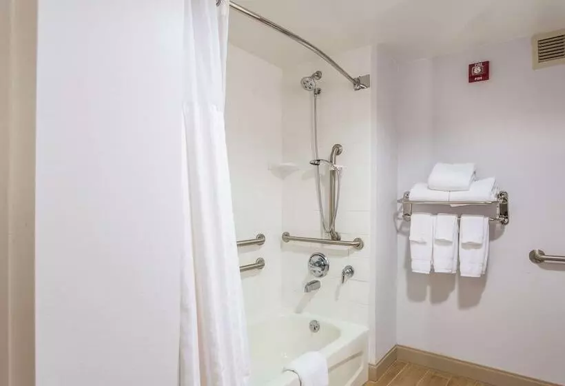 身障者適用スタンダードルーム, Hilton Garden Inn Suffolk Riverfront
