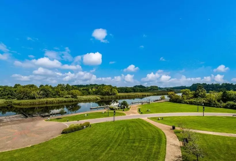 身障者適用スタンダードルーム, Hilton Garden Inn Suffolk Riverfront