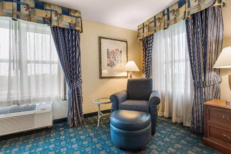 キングサイズベッドのスタンダードルーム, Hilton Garden Inn Suffolk Riverfront