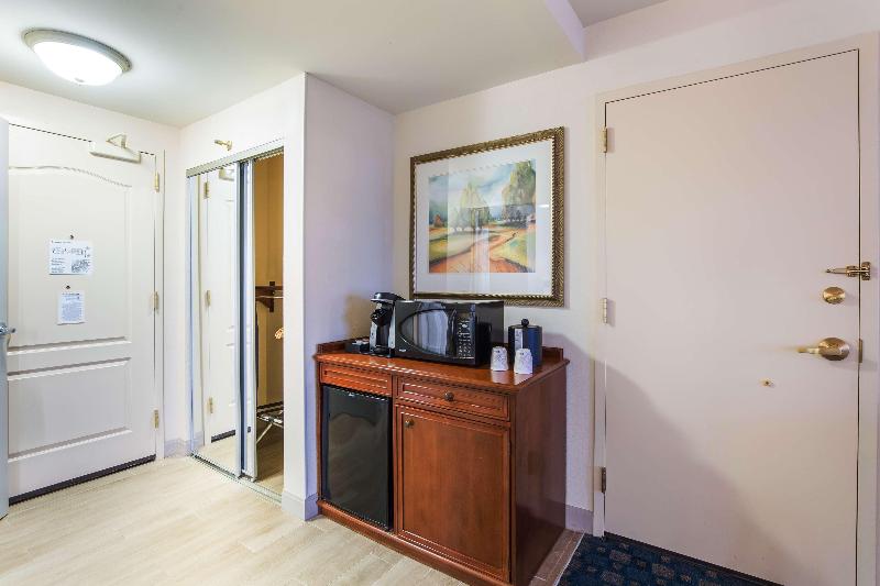 스탠다드 룸 킹사이즈 침대, Hilton Garden Inn Suffolk Riverfront