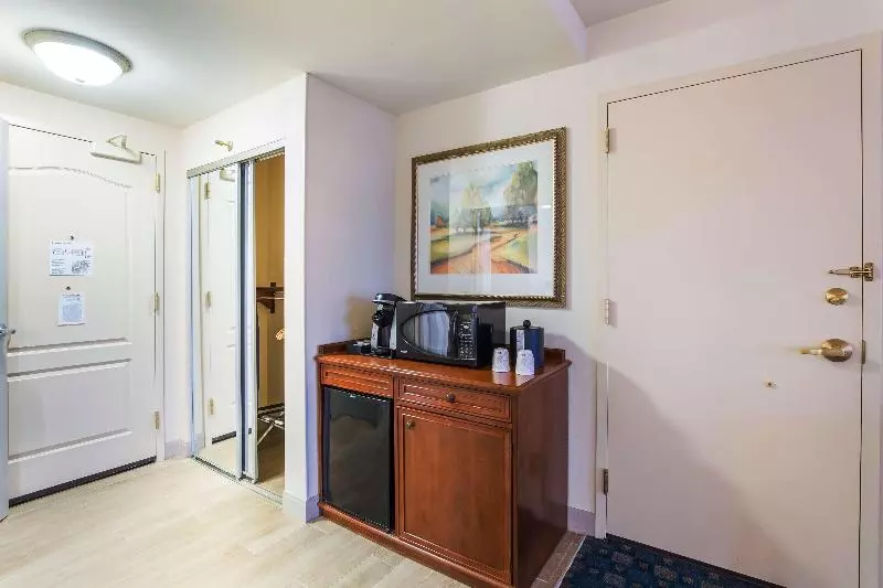 キングサイズベッドのスタンダードルーム, Hilton Garden Inn Suffolk Riverfront