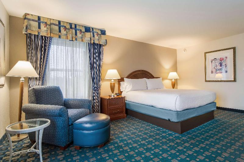 스탠다드 룸 킹사이즈 침대, Hilton Garden Inn Suffolk Riverfront