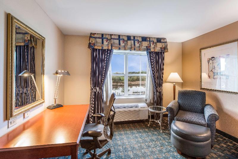 스탠다드 룸 킹사이즈 침대, Hilton Garden Inn Suffolk Riverfront