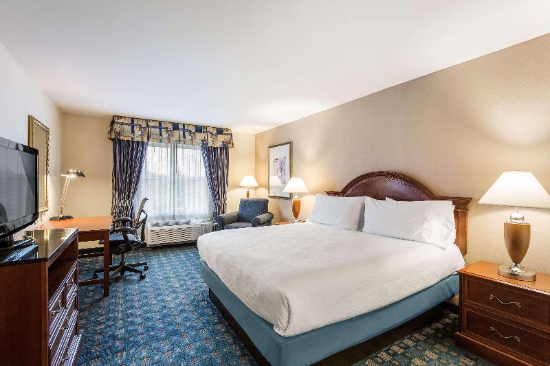 스탠다드 룸 킹사이즈 침대, Hilton Garden Inn Suffolk Riverfront