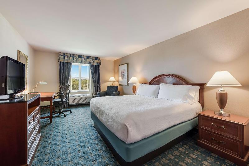 Стандартный Номер Кровать Кинг, Hilton Garden Inn Suffolk Riverfront