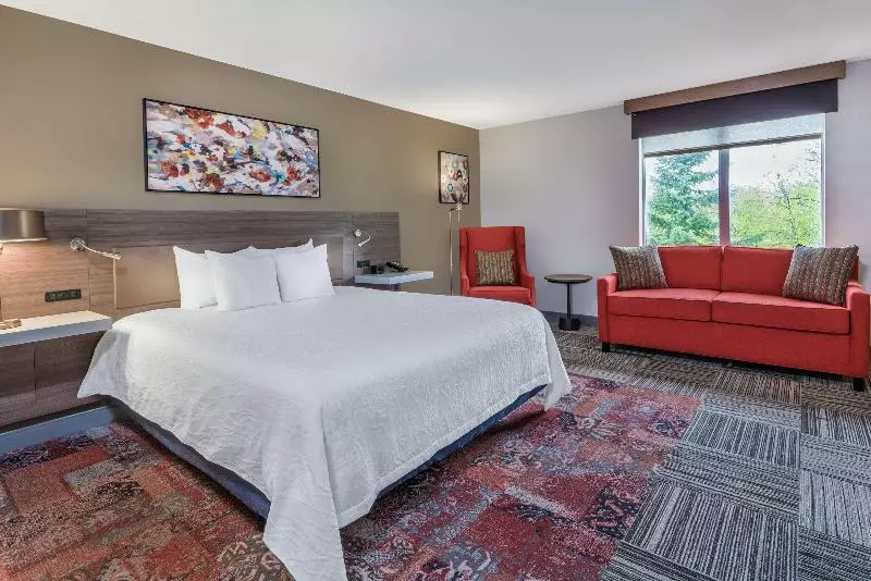 キングサイズベッドのスタンダードルーム, Hilton Garden Inn Syracuse