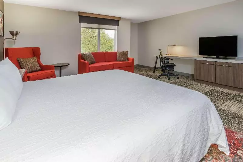 キングサイズベッドのスタンダードルーム, Hilton Garden Inn Syracuse
