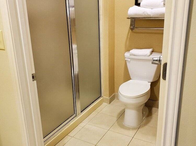 إستوديو قياسى سرير مزدوج, Homewood Suites By Hilton Laredo At Mall Del Norte