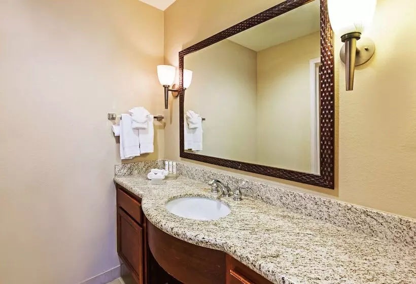 سوییت, Homewood Suites By Hilton Laredo At Mall Del Norte