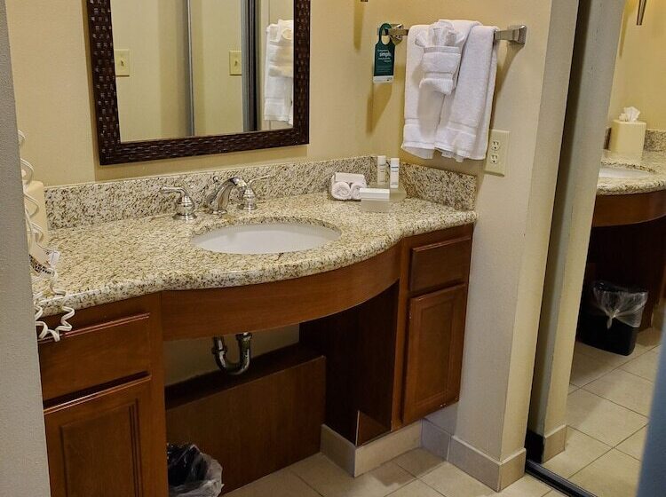 إستوديو قياسى سرير مزدوج, Homewood Suites By Hilton Laredo At Mall Del Norte