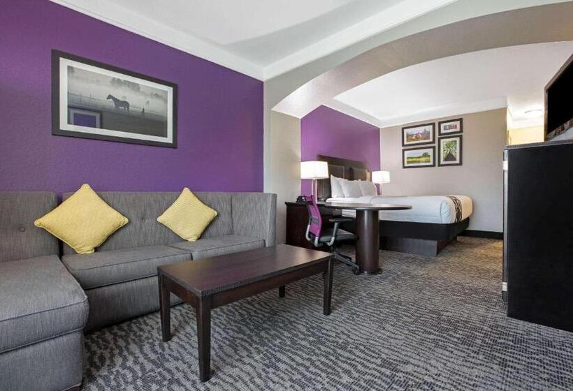 Номер Executive Кровать Кинг, La Quinta By Wyndham Pearland