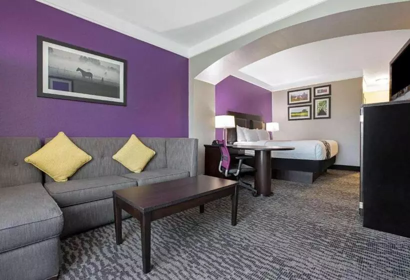 キングサイズベッドのエクゼクティブルーム, La Quinta By Wyndham Pearland