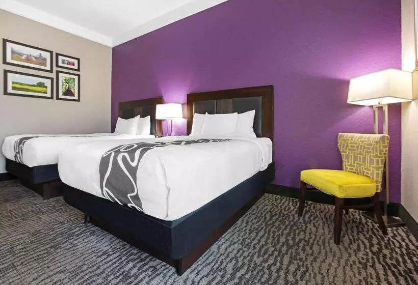身障者適用スタンダードルーム, La Quinta By Wyndham Pearland