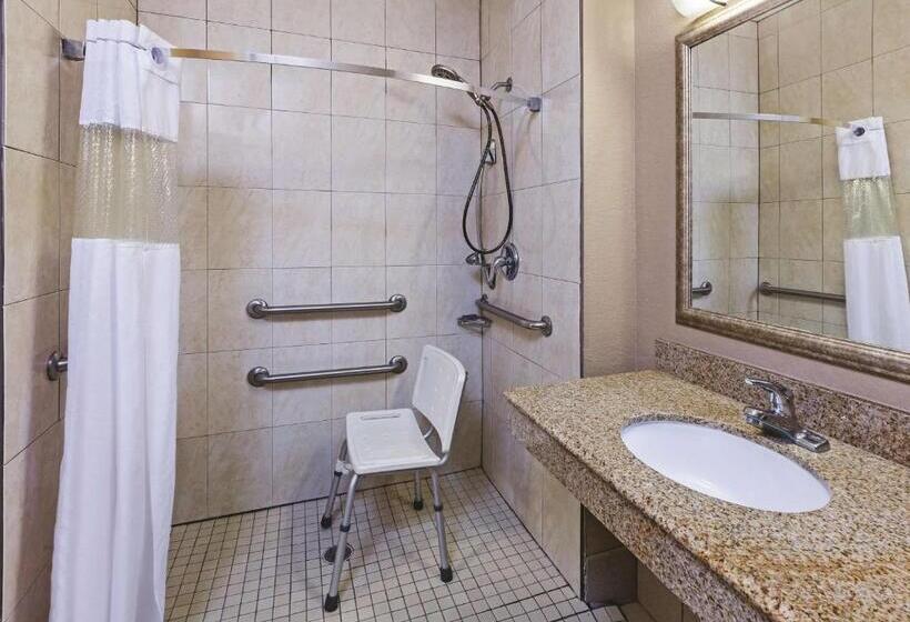 Номер Стандарт Кровать Кинг Адаптированный для Инвалидов, La Quinta By Wyndham Pearland