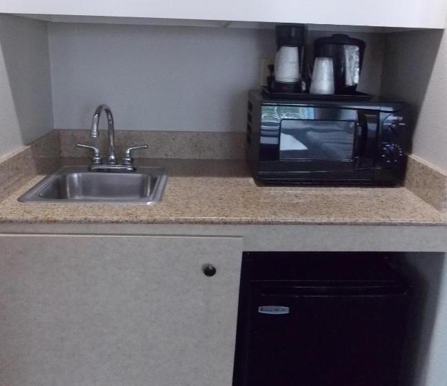 חדר דחוקס עם מיטת קינג, La Quinta By Wyndham Rosenberg