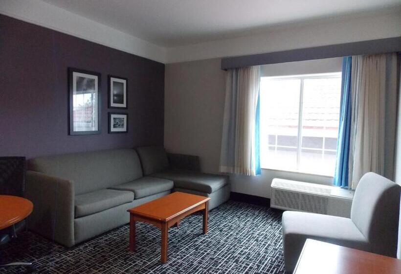 חדר אקזקיוטיב חדר קינג, La Quinta By Wyndham Rosenberg