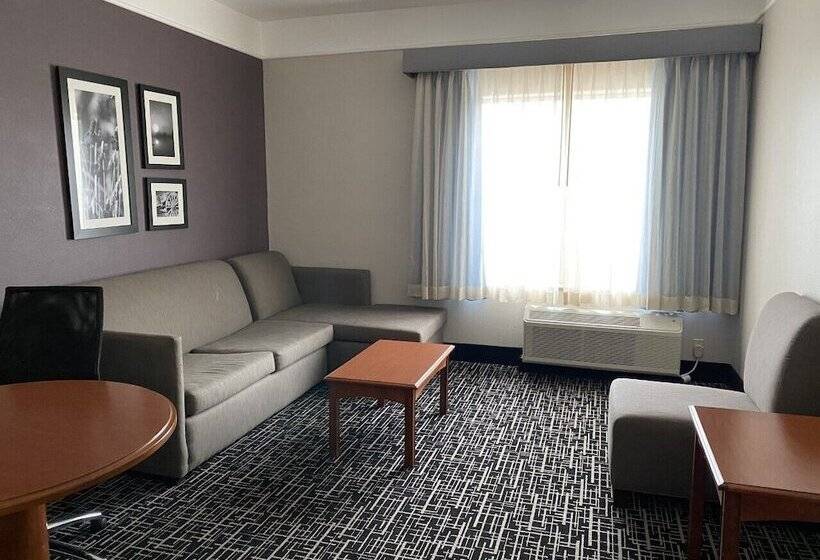 חדר דלוקס, La Quinta By Wyndham Rosenberg