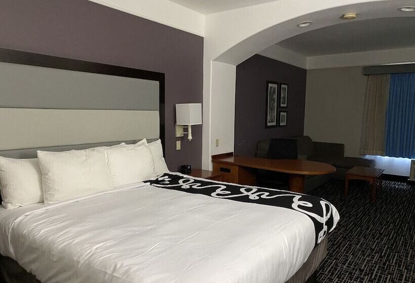 חדר דלוקס, La Quinta By Wyndham Rosenberg