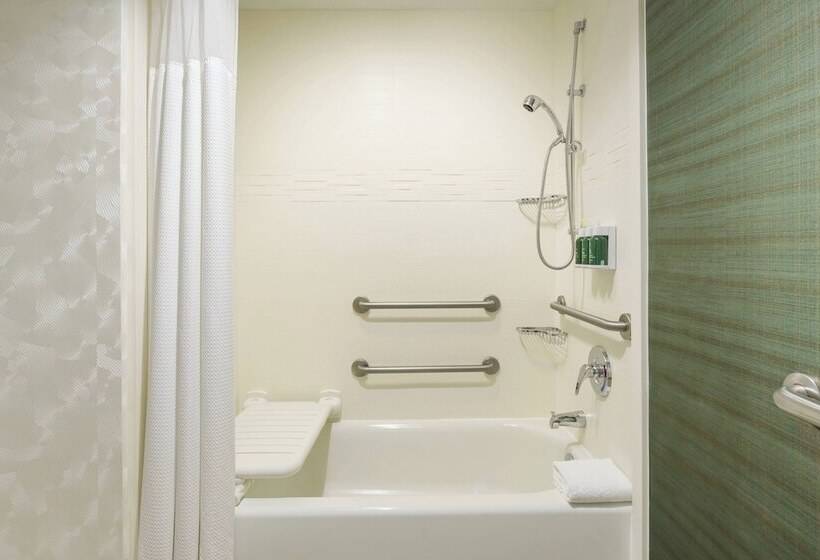 Студия Стандарт Кровать Куин, Residence Inn Austin Downtown/convention Center