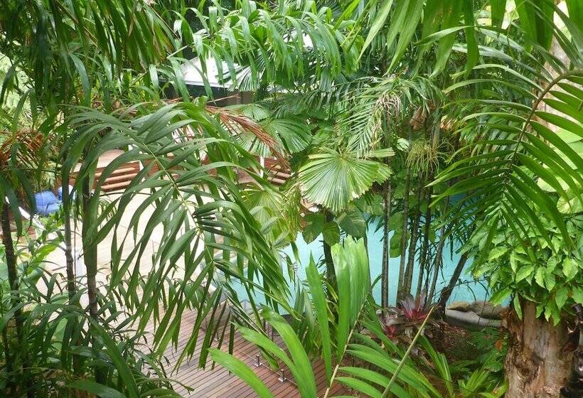 带1个卧室的公寓, Palm Cove Tropic Apartments