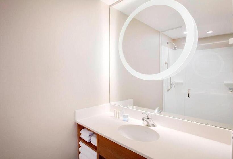 استودیو استاندارد با تخت کینگ, Springhill Suites Hartford Airport/windsor Locks