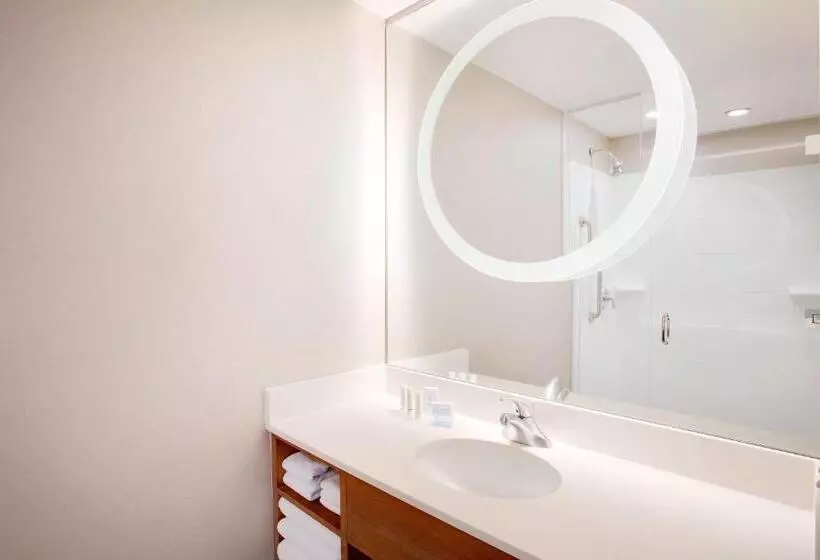 استودیو استاندارد با تخت کینگ, Springhill Suites Hartford Airport/windsor Locks