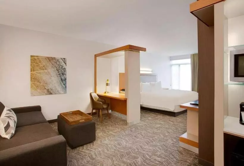 استودیو استاندارد با تخت کینگ, Springhill Suites Hartford Airport/windsor Locks