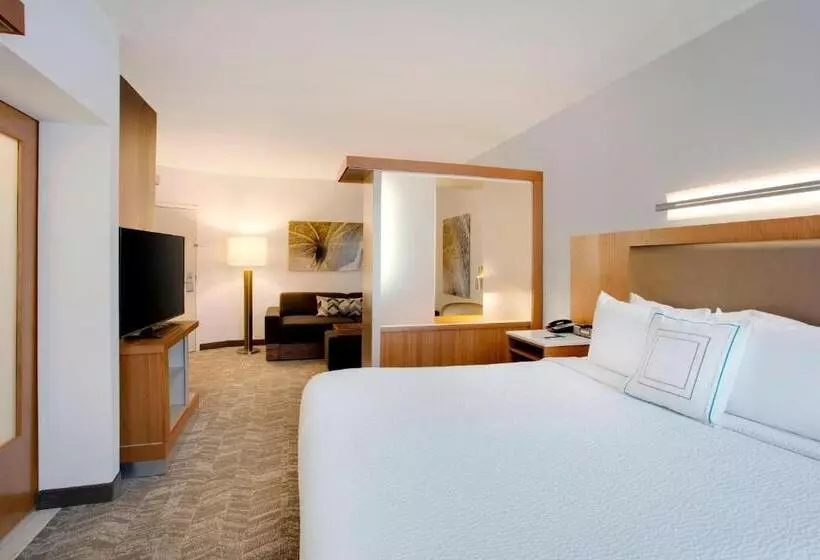 استودیو استاندارد با تخت کینگ, Springhill Suites Hartford Airport/windsor Locks