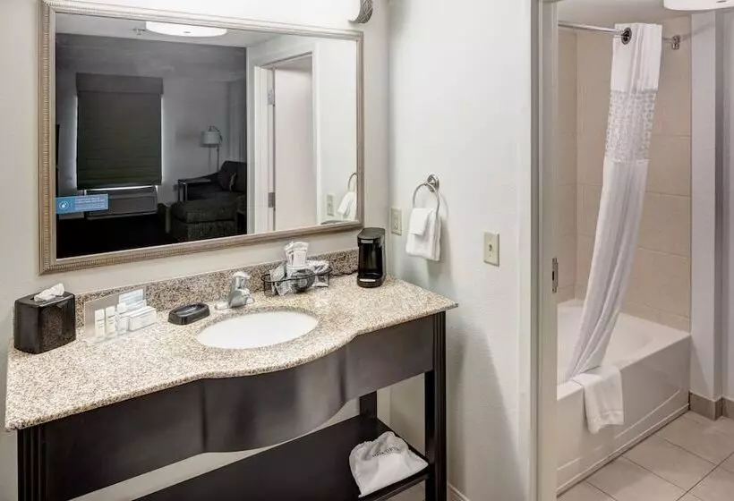 スタンダードスタジオ, Hampton Inn & Suites Gainesvilledowntown