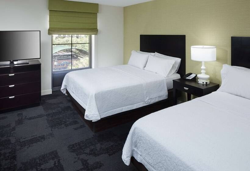 Студия Стандарт, Hampton Inn & Suites Gainesvilledowntown