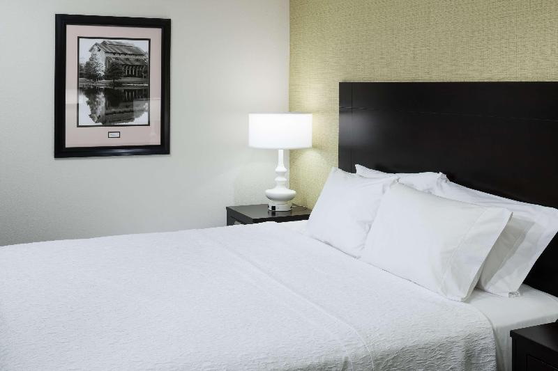غرفة قياسية سرير كينج, Hampton Inn & Suites Gainesvilledowntown