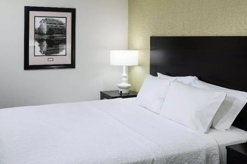 キングサイズベッドのスタンダードルーム, Hampton Inn & Suites Gainesvilledowntown