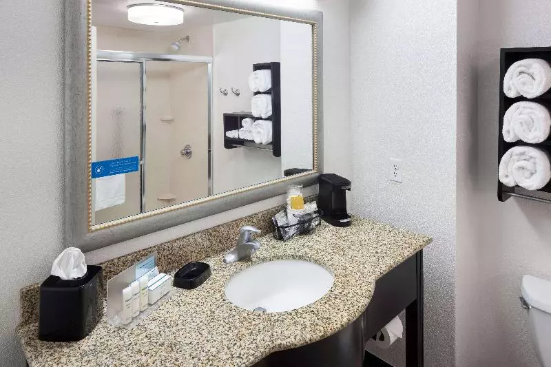 キングサイズベッドのスタンダードルーム, Hampton Inn & Suites Gainesvilledowntown