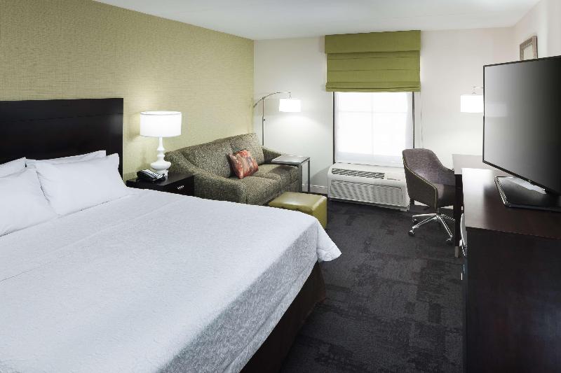 스탠다드 룸 킹사이즈 침대, Hampton Inn & Suites Gainesvilledowntown