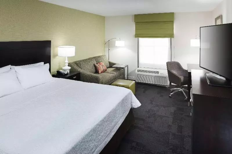 キングサイズベッドのスタンダードルーム, Hampton Inn & Suites Gainesvilledowntown