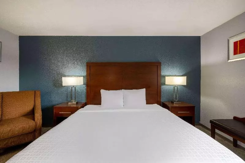 キングサイドベッドのスタンダードワンルーム, Hampton Inn & Suites Gainesvilledowntown